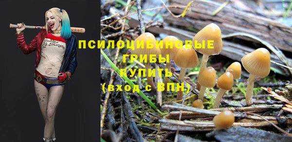гидропоника Козловка