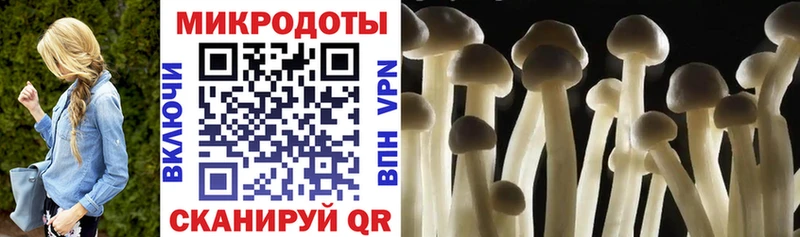 Псилоцибиновые грибы GOLDEN TEACHER  Крымск 